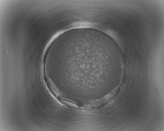 X0000066541472200603241358