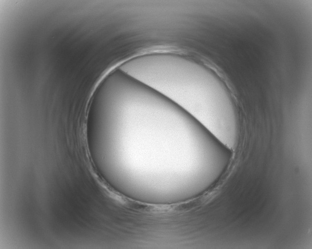 X0000066541473200603241358