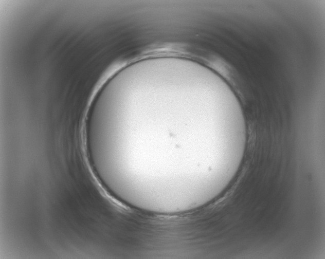 X0000066541474200603241358