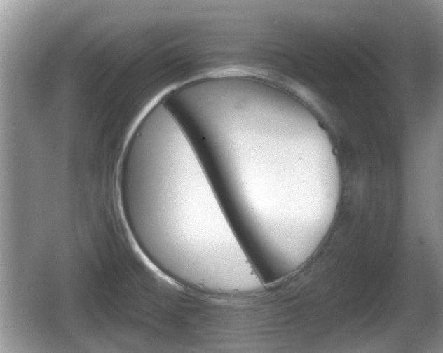 X0000066541476200603241358