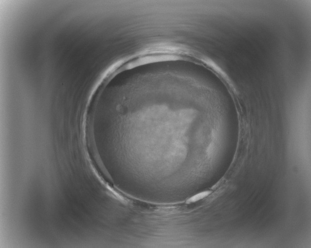 X0000066541477200603241358