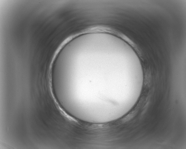 X0000066541478200603241358