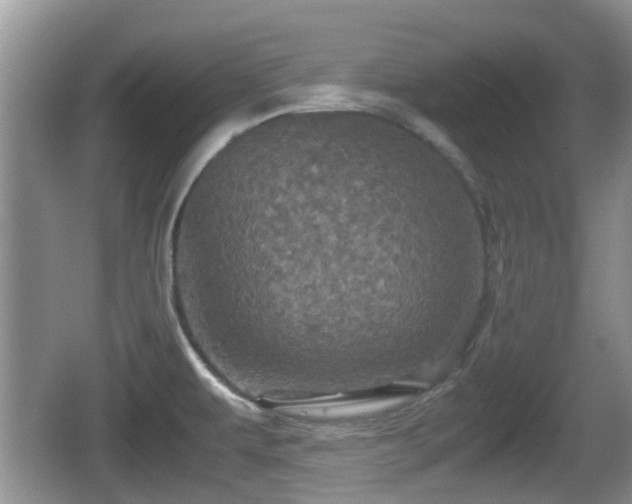 X0000066541479200603241358