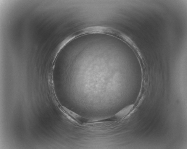 X0000066541481200603241358