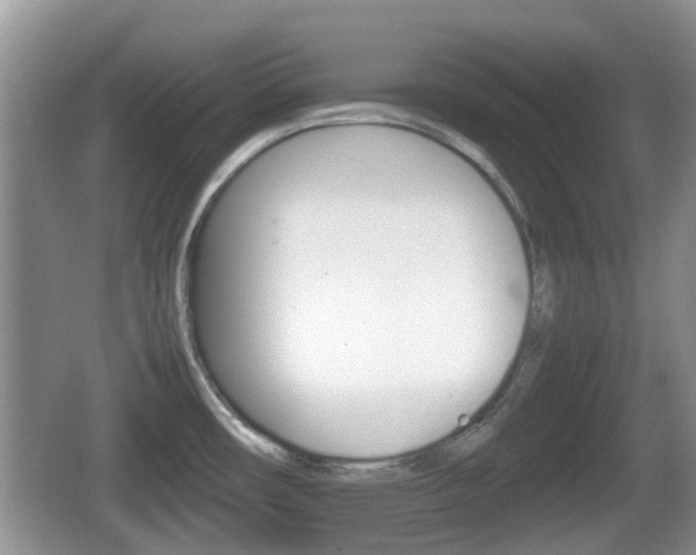 X0000066541482200603241358