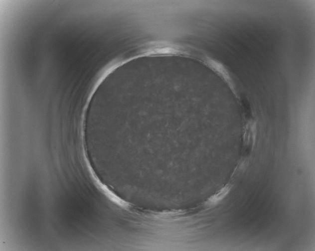 X0000066541483200603241358