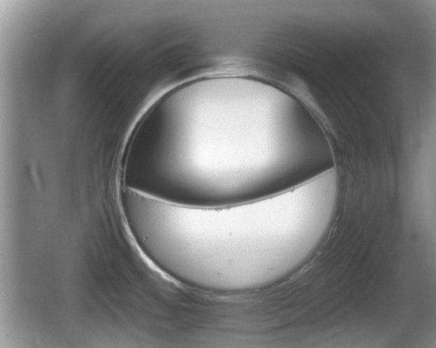 X0000066541484200603241358