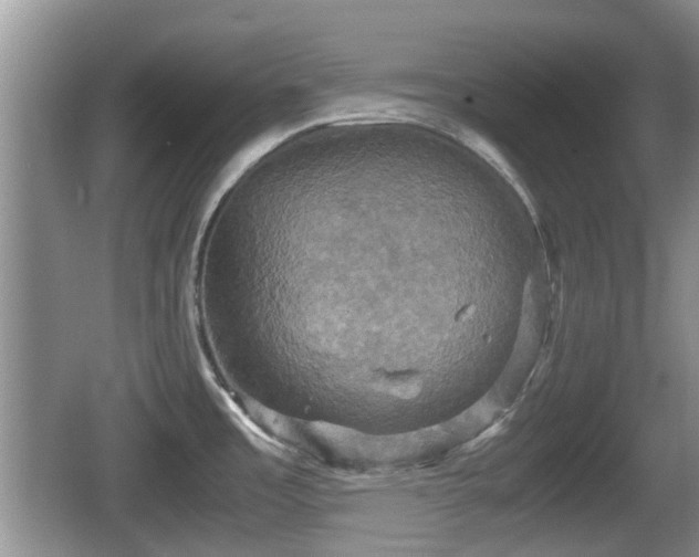 X0000066541485200603241358