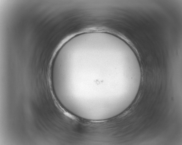 X0000066541486200603241358