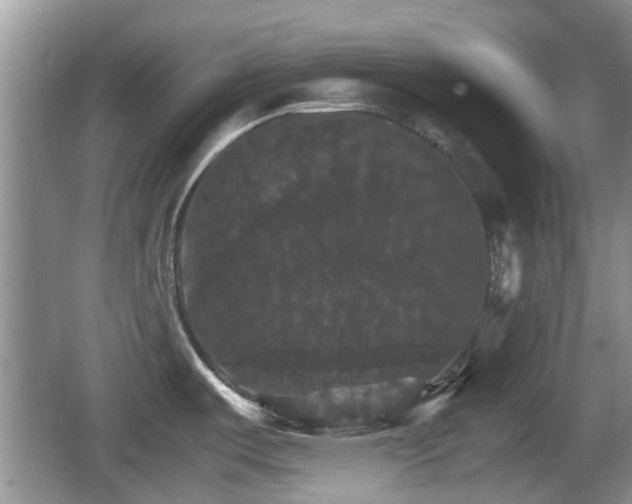 X0000066541487200603241358