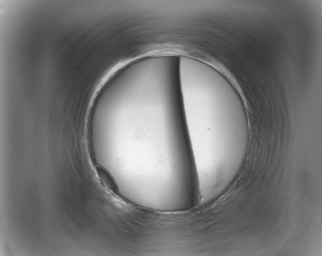 X0000066541488200603241358