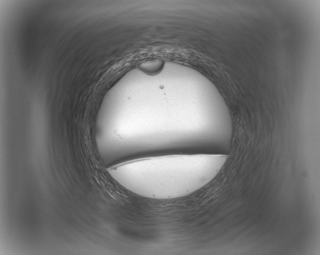 X0000066541489200603241357