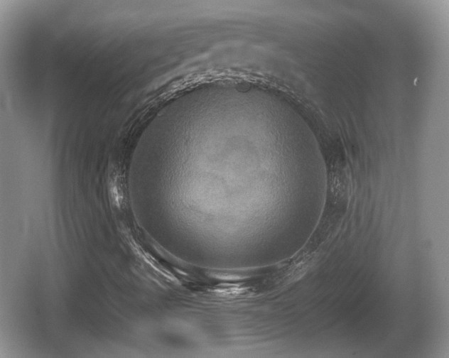 X0000066541490200603241357