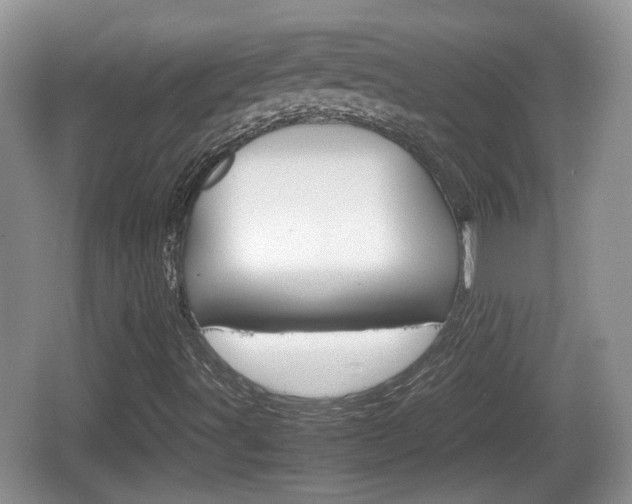 X0000066541491200603241357