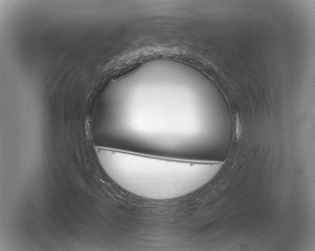 X0000066541492200603241357