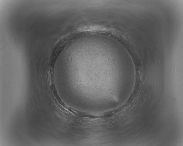 X0000066541493200603241357