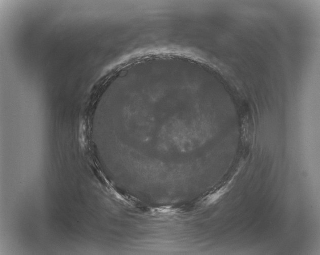 X0000066541494200603241357