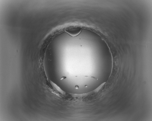 X0000066541495200603241357