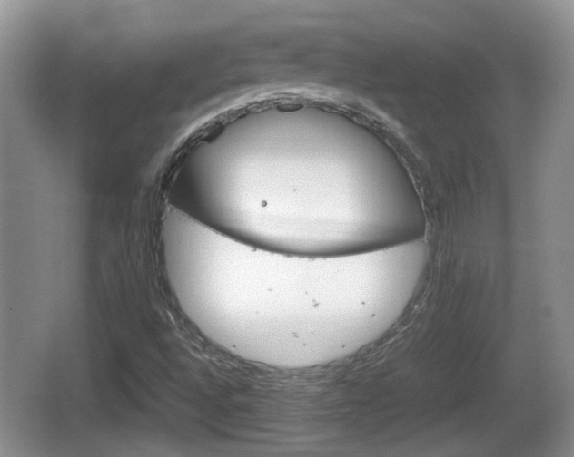 X0000066541496200603241357