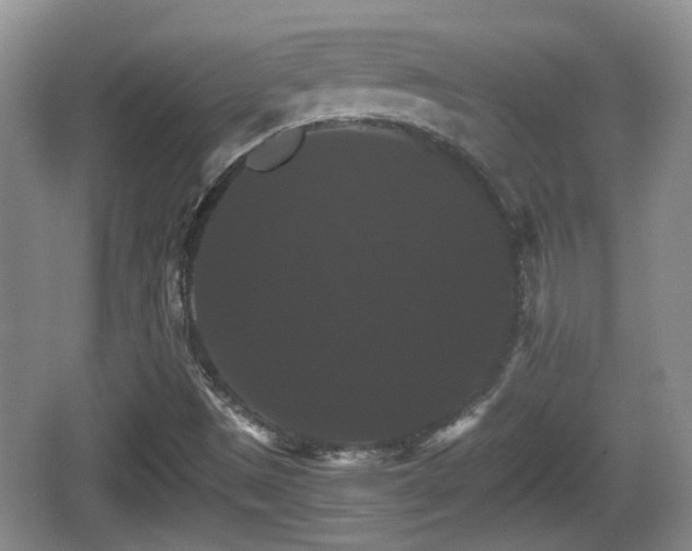 X0000066541497200603241357