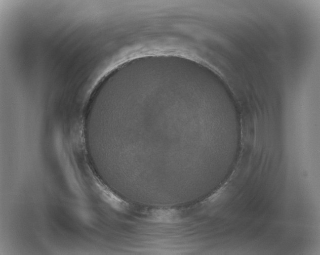 X0000066541498200603241357