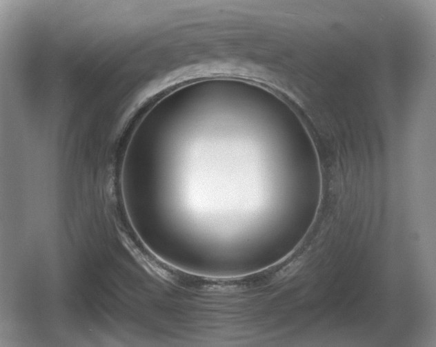 X0000066541499200603241357