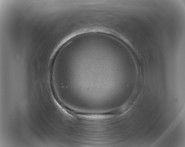 X0000066541500200603241357