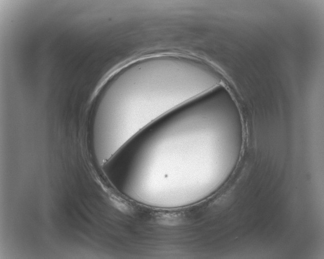 X0000066541501200603241357