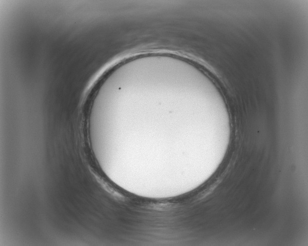 X0000066541502200603241357