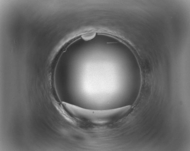 X0000066541503200603241357