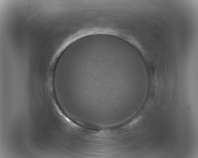 X0000066541504200603241357