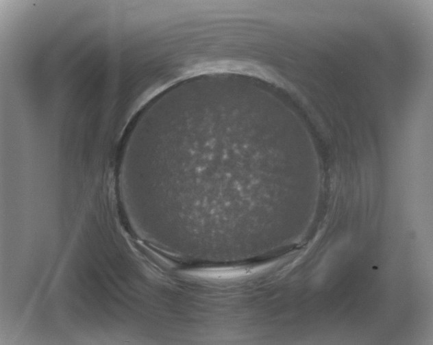 X0000066541505200603241357