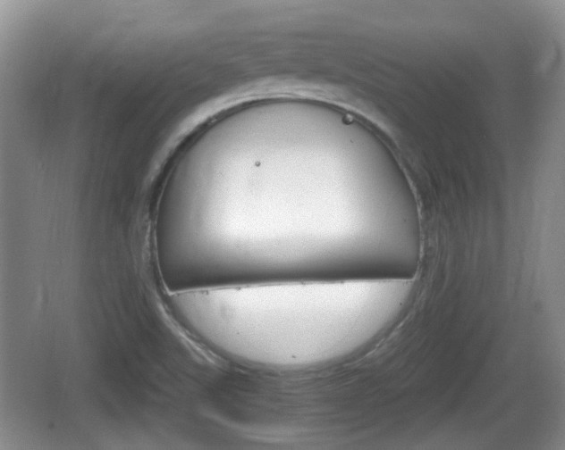 X0000066541507200603241357