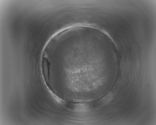 X0000066541508200603241358