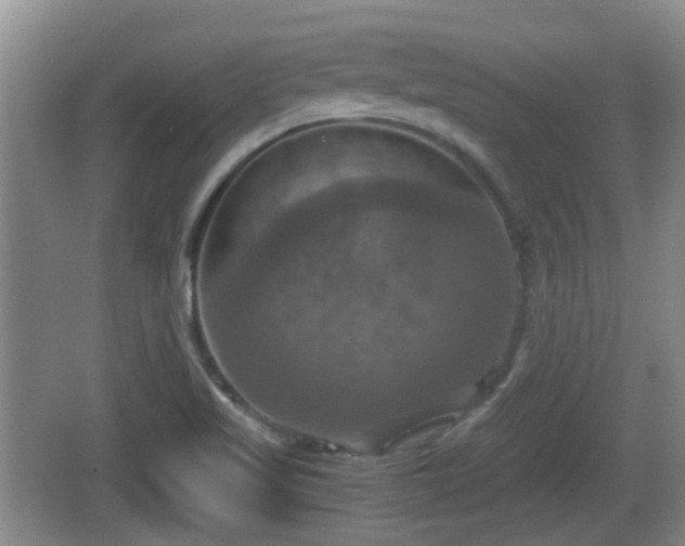 X0000066541509200603241358