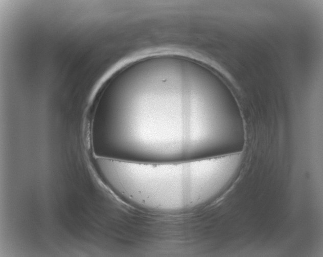 X0000066541510200603241358