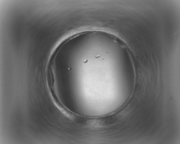 X0000066541511200603241358