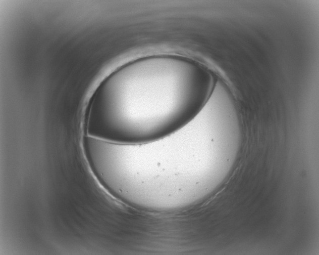 X0000066541512200603241358