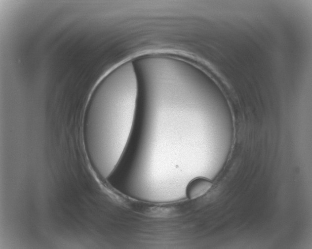 X0000066541513200603241358