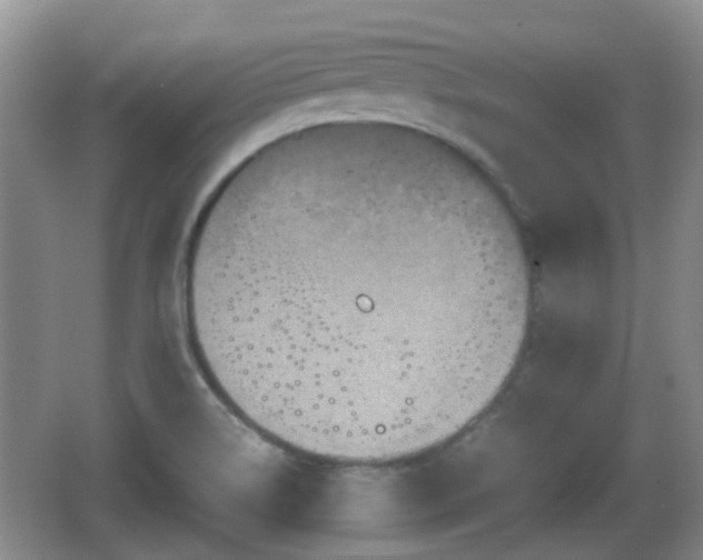 X0000066541514200603241358