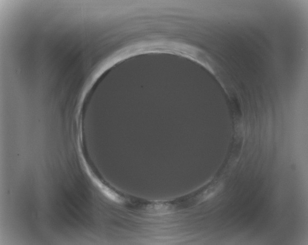 X0000066541515200603241358