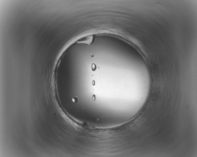 X0000066541516200603241358