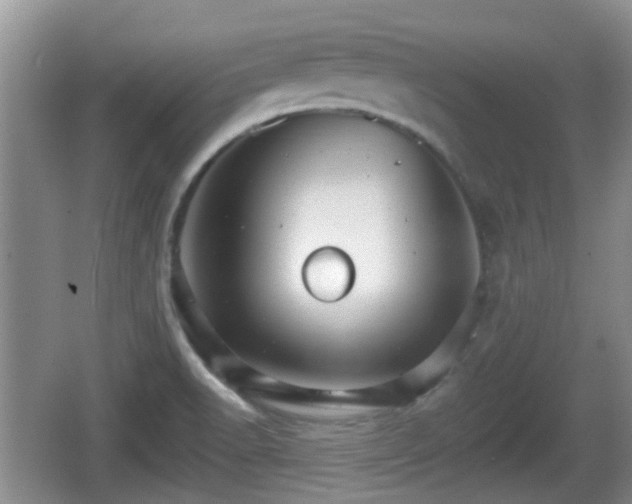 X0000066541518200603241358