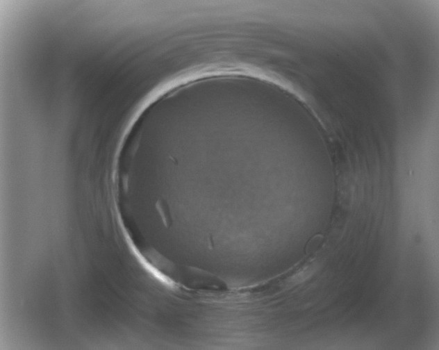 X0000066541519200603241358