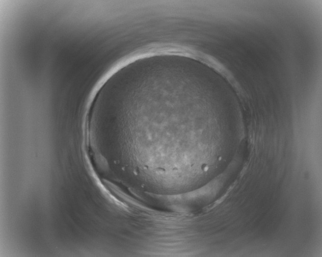 X0000066541520200603241358