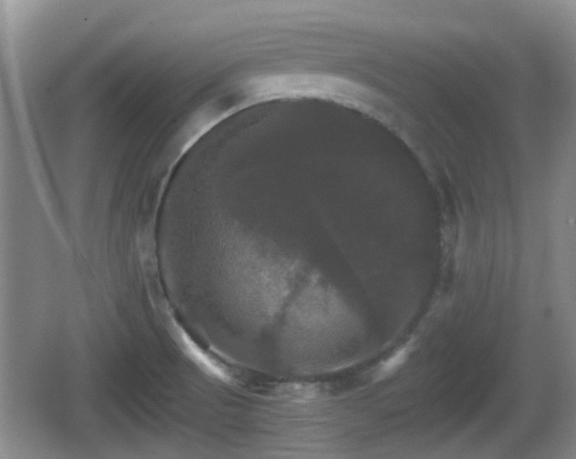 X0000066541521200603241358