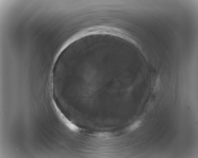 X0000066541522200603241358