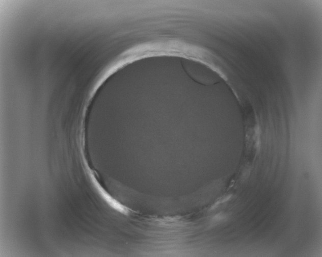 X0000066541523200603241358