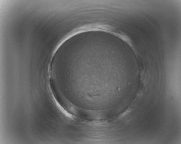 X0000066541524200603241358