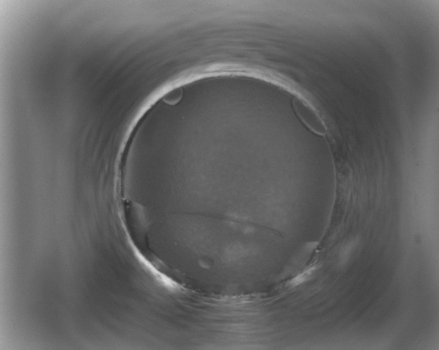 X0000066541527200603241358